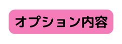 オプション内容