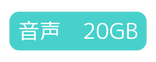 音声 20GB